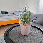 Tiszavirag Szallashely Dom wakacyjny Tiszaalpar