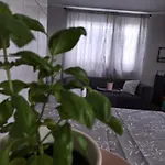 Dom wakacyjny Tiszavirag Szallashely