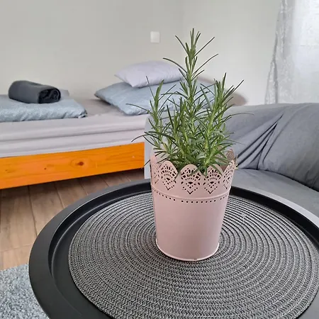 Tiszavirag Szallashely 펜션 Tiszaalpar