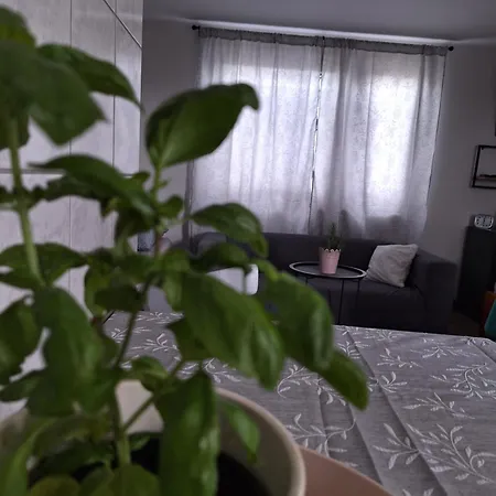 펜션 Tiszavirag Szallashely