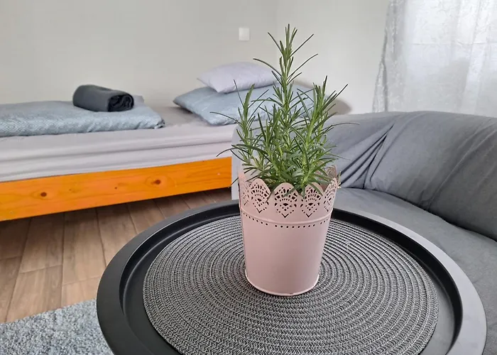 Tiszavirag Szallashely Prázdninový dům Tiszaalpar