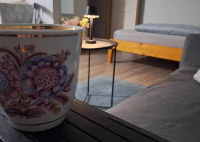 Tiszavirag Szallashely Tiszaalpar